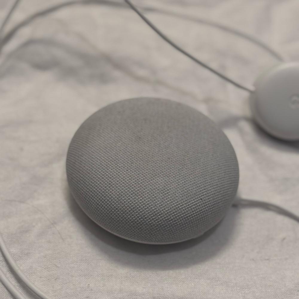 2nd generation Nest Mini, the speaker you control with your voice.